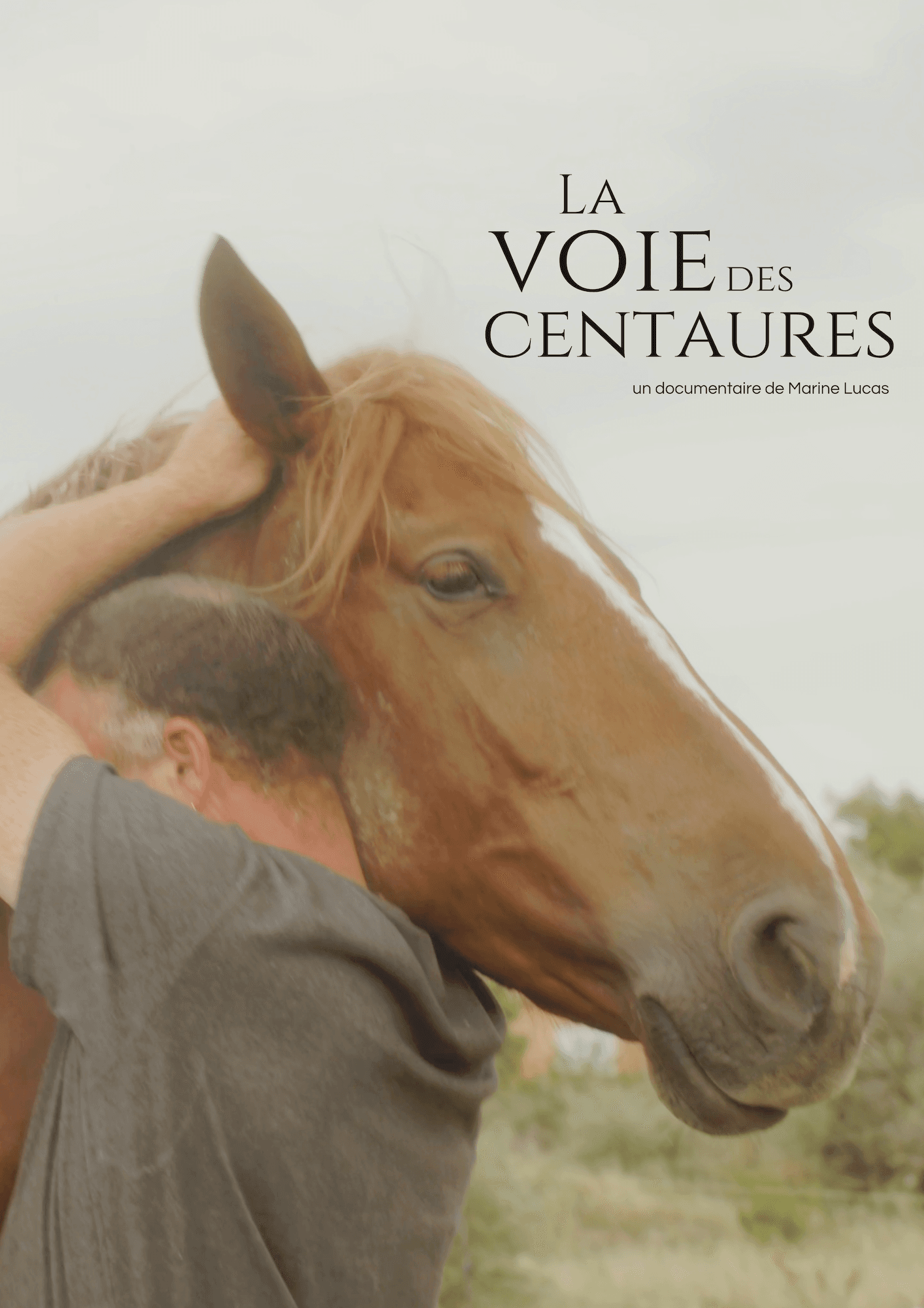 Louer La Voie des Centaures - Documentaire traversée Pyrénées à cheval par Marine Lucas - Location 48h streaming